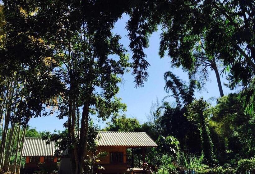 Resort Chiang Dao Hut