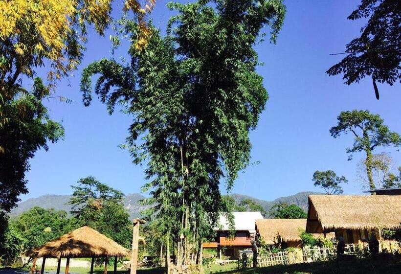 Resort Chiang Dao Hut