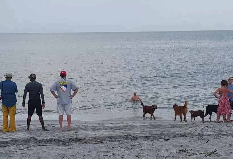 ベッドアンドブレックファースト Pink Palace Panama