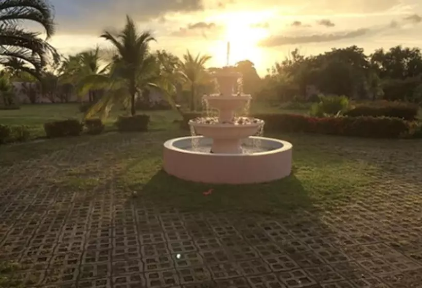 ベッドアンドブレックファースト Pink Palace Panama