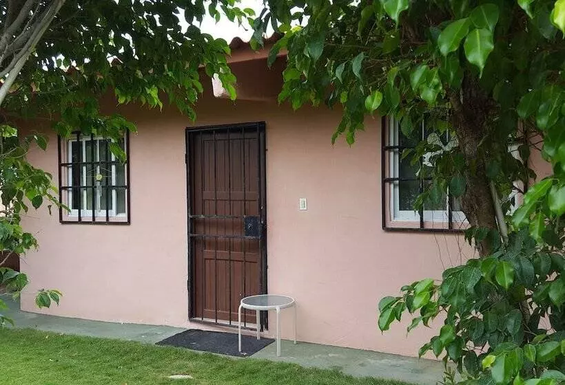 ベッドアンドブレックファースト Pink Palace Panama