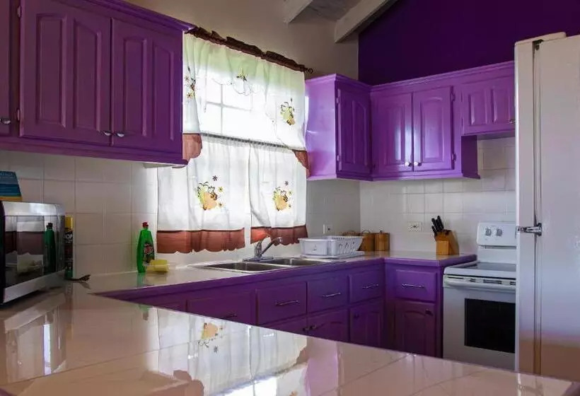 Best E Villas Prospect St James