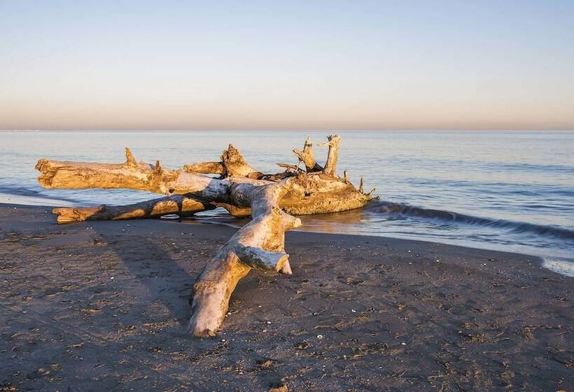 בית מלון כפרי Camping Horizon Bar