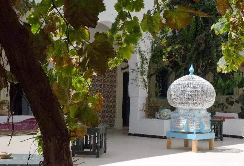 Hotelli Djerba Erriadh