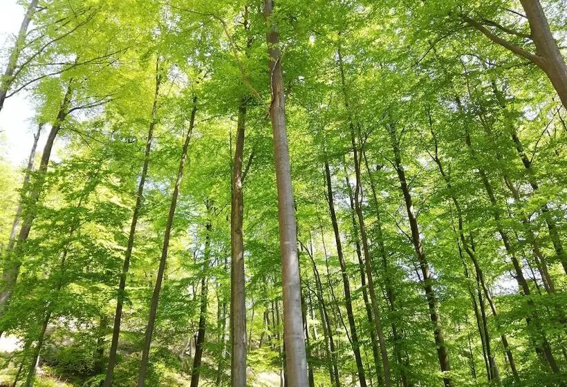 Majatalo Landgasthaus Zur Brücke