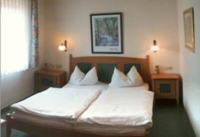 Пансион Landgasthaus Zur Brücke