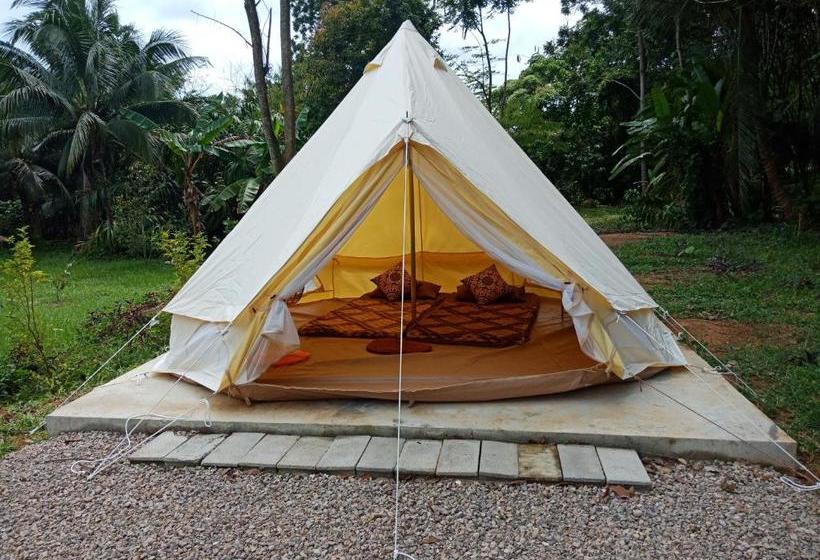 渡假胜地  Cha Bungalow