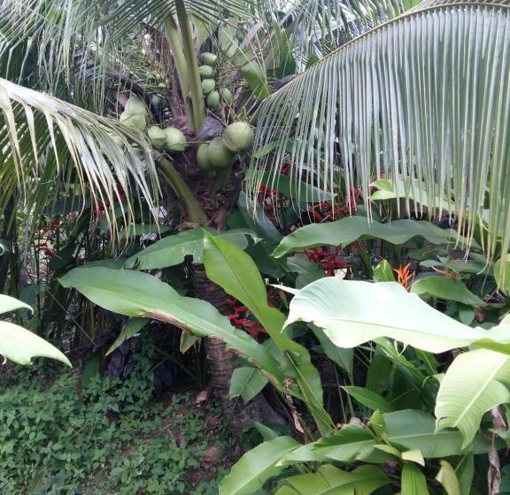 渡假胜地  Cha Bungalow