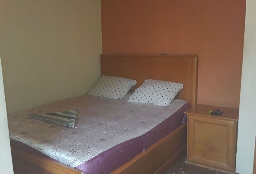 پانسیون Alem Guest House