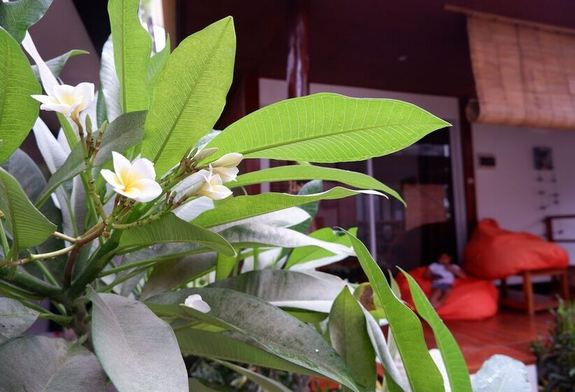 Hotel Bella Athena Garden