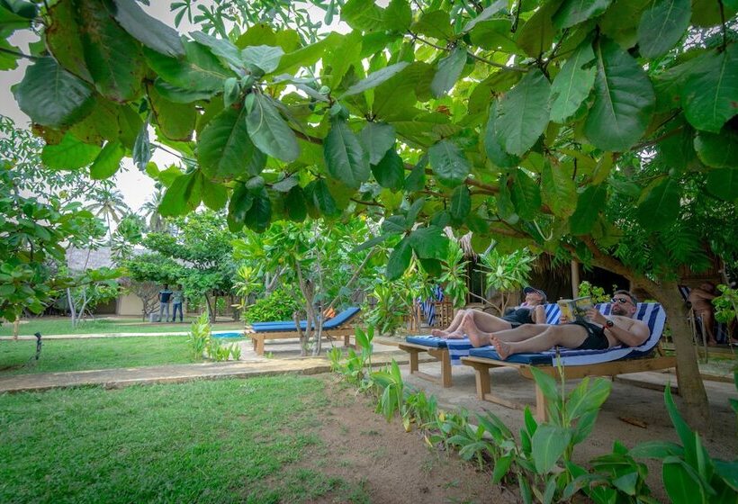 Hotell Blue Waters Arugambay