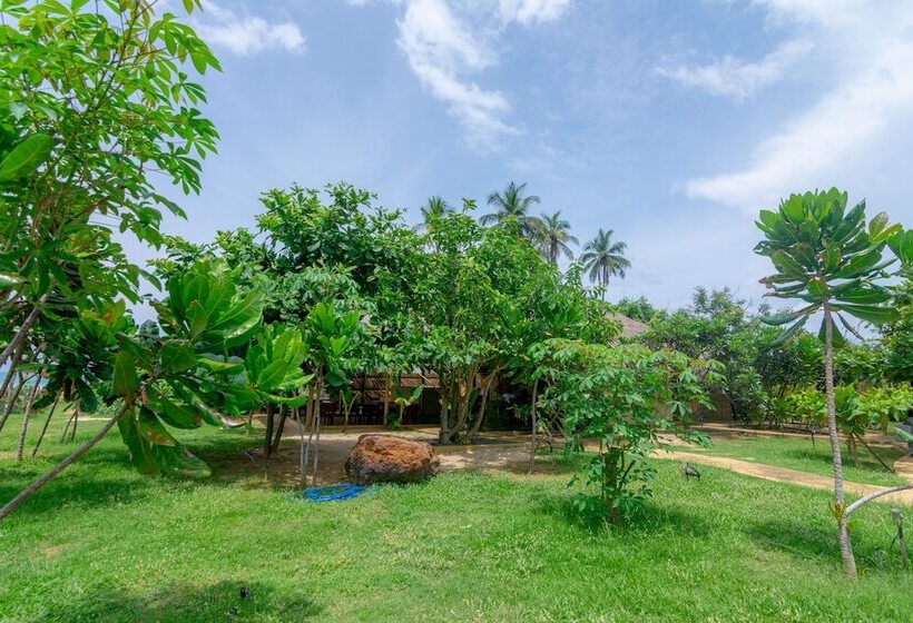 Hotell Blue Waters Arugambay