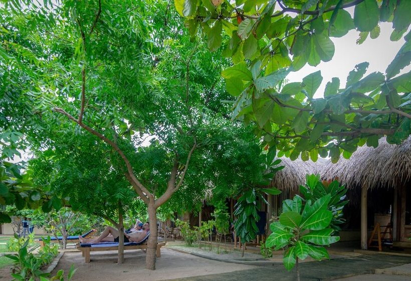 Hotell Blue Waters Arugambay