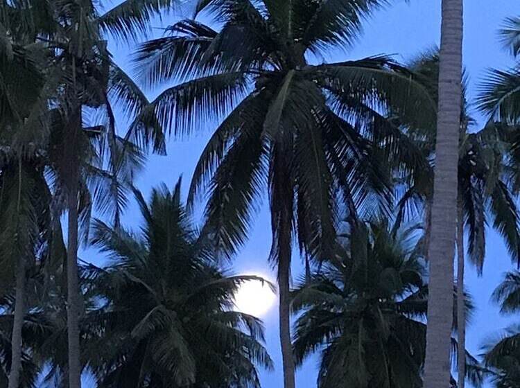 Hotell Blue Waters Arugambay