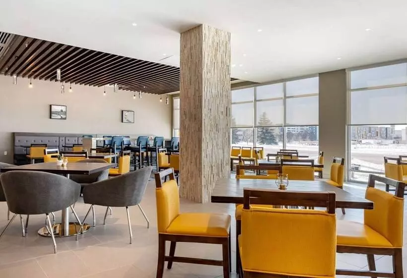 Cambria Hotel Bloomington Mall Of America Minneapolis Airport