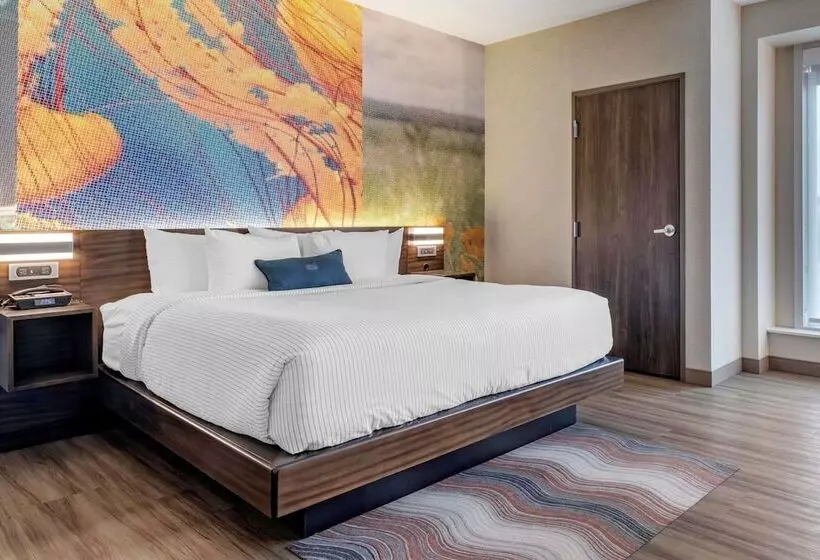 Cambria Hotel Bloomington Mall Of America Minneapolis Airport