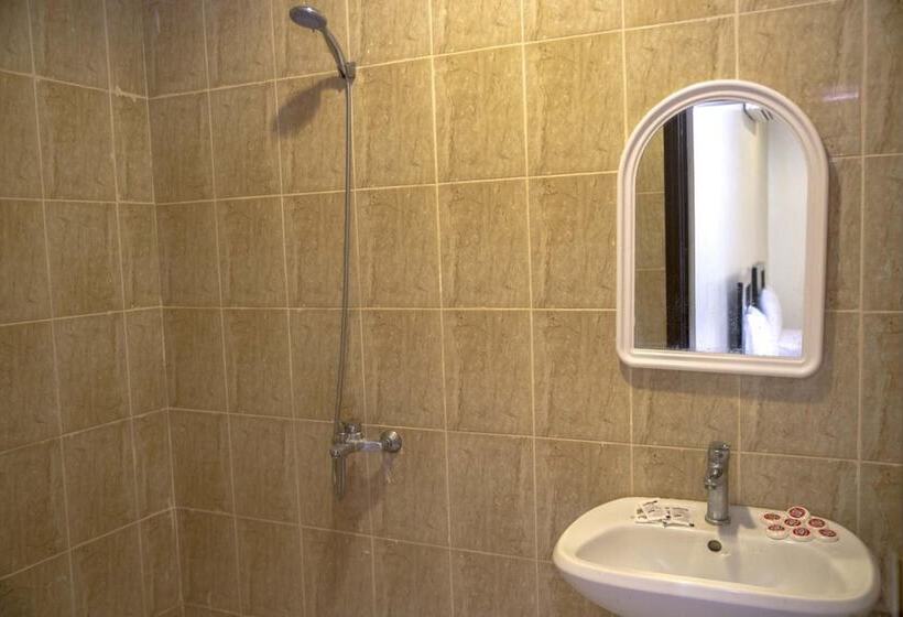 Al Eairy Furnished Apartments Qassim 4