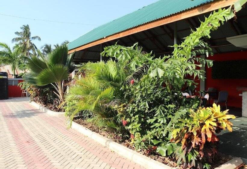 تختخواب و صبحانه Safari Lodge Kunduchi