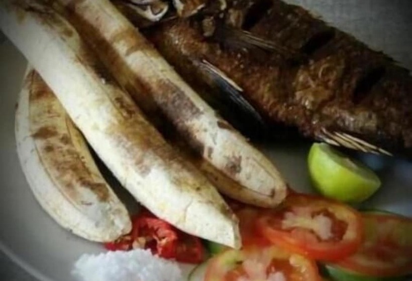 تختخواب و صبحانه Safari Lodge Kunduchi