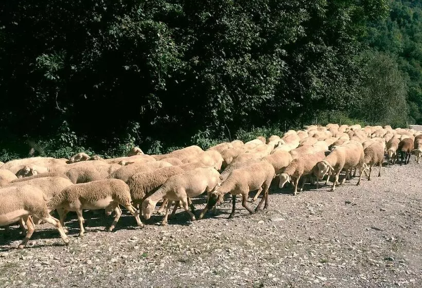 Casa Rural Can Soler De Rocabruna