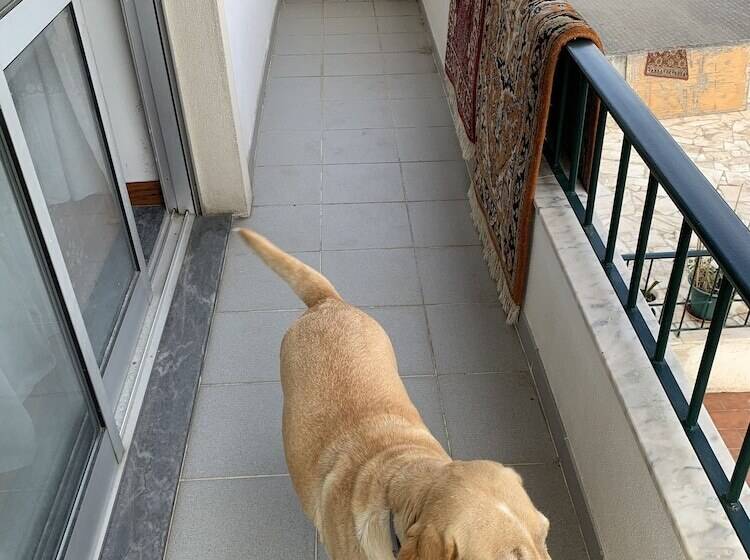 پانسیون Avenida Joao Xxiii