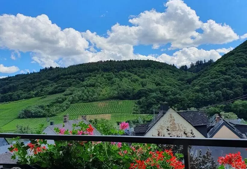 Majatalo Ferienweingut Stein