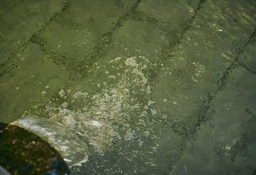 Ryokan Kamenoi Hotel Fukui