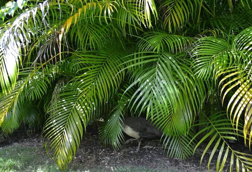 Three Bedroom Villa, Ocean View, Private Pool