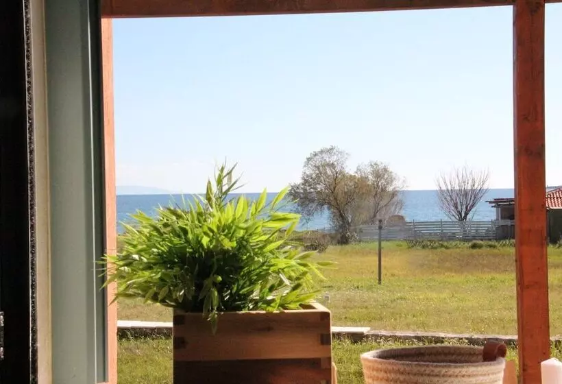 پانسیون Alekos Beach Houses Seti