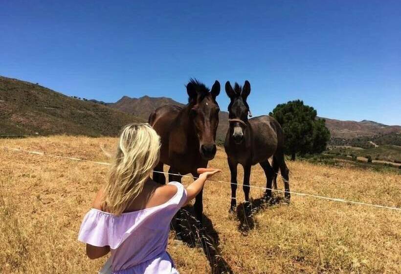 펜션 La Careza De Mijas   Adults Only