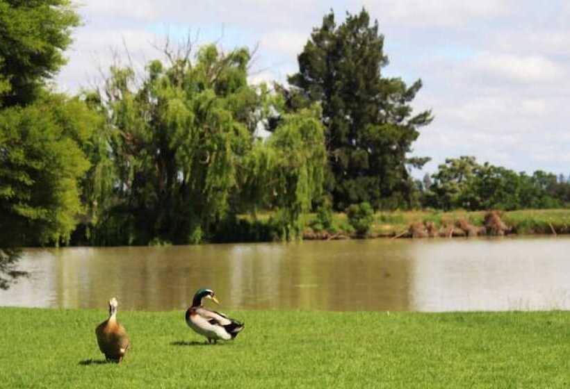 Pension Lenmore Chalets