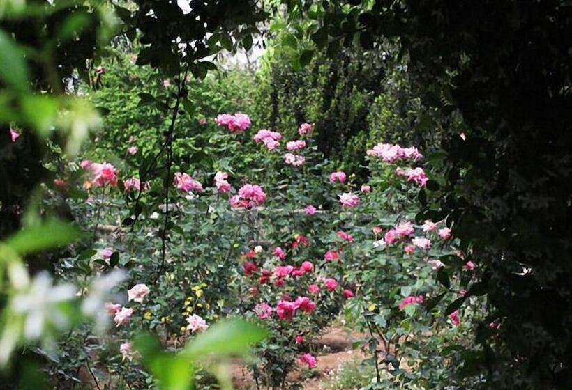 Pension Lenmore Chalets