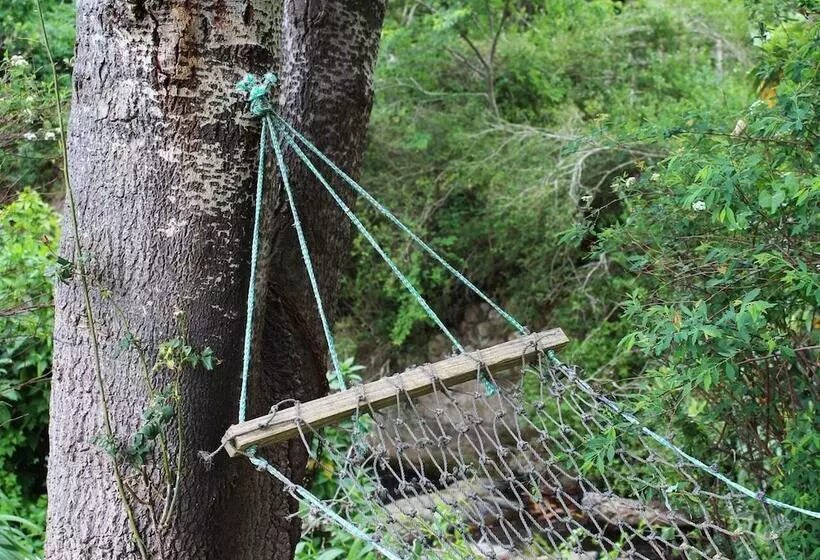 Majatalo Moffid's Place