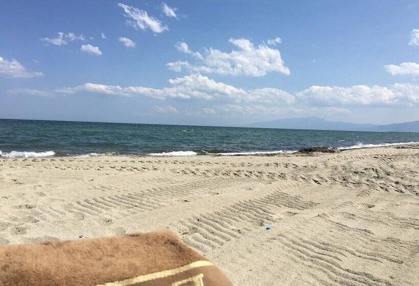 פנסיון Penthesylia