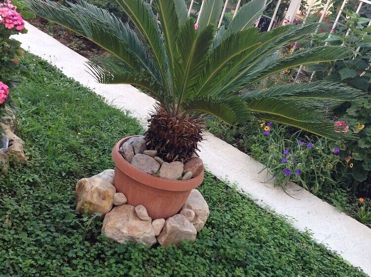 פנסיון Penthesylia