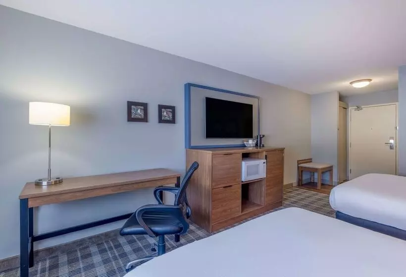 ホテル Americinn By Wyndham Duluth