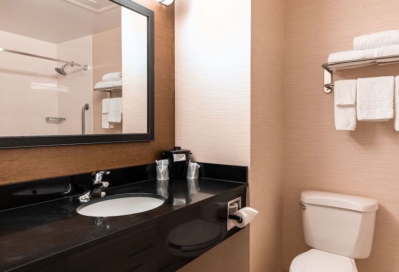 فندق Fairfield Inn Owensboro