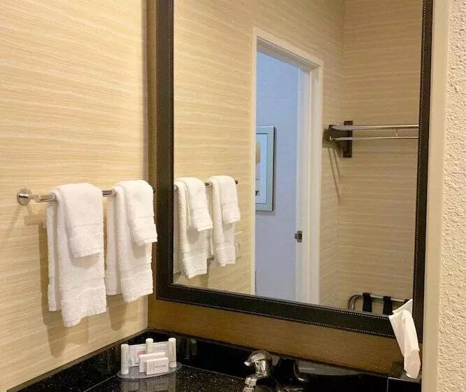 Отель Fairfield Inn & Suites By Marriott Denver Tech Center/ South