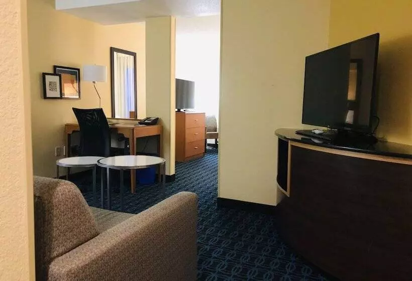 Отель Fairfield Inn & Suites By Marriott Denver Tech Center/ South