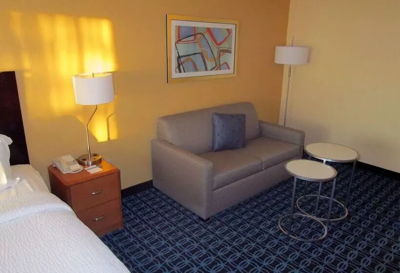 Отель Fairfield Inn & Suites By Marriott Denver Tech Center/ South