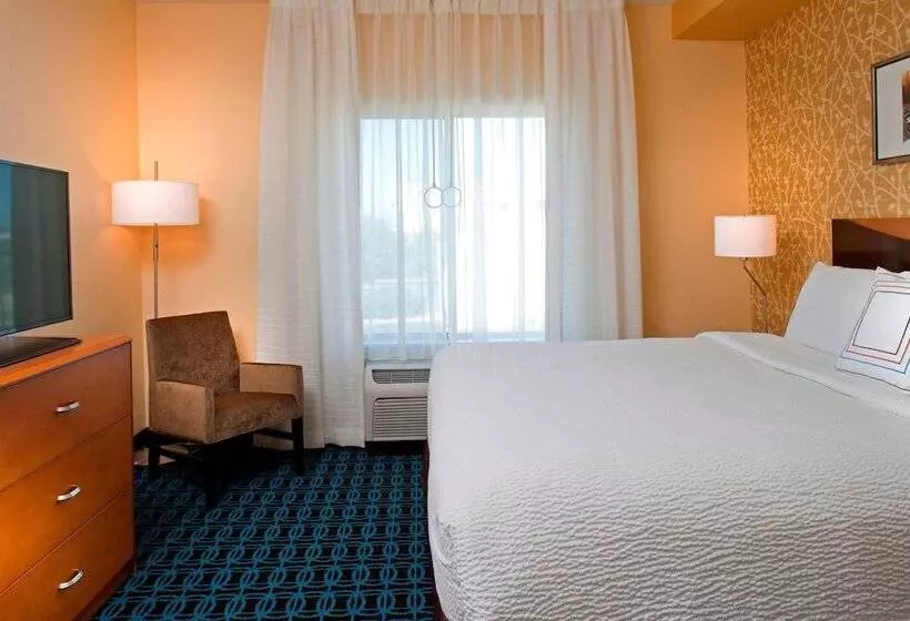 Отель Fairfield Inn & Suites By Marriott Denver Tech Center/ South