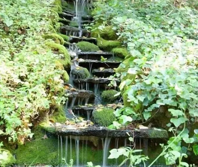 Hotelli Foothill House