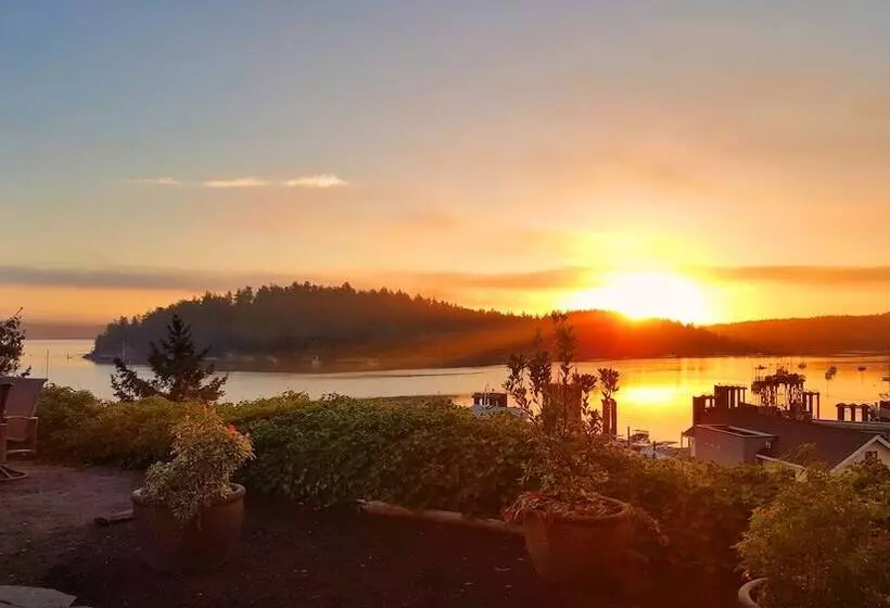 هتل Friday Harbor House