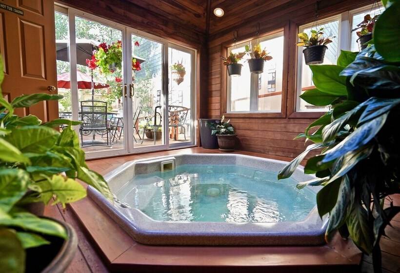 هتل Frisco Inn On Galena