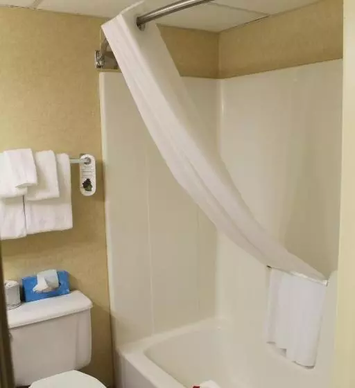 酒店 Suburban Studios Branson On The Strip