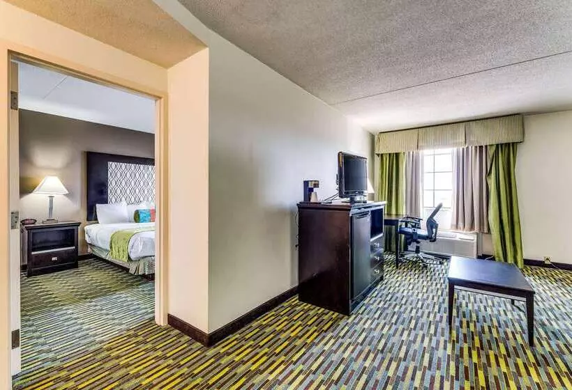 ホテル Wyndham Garden Wichita Downtown