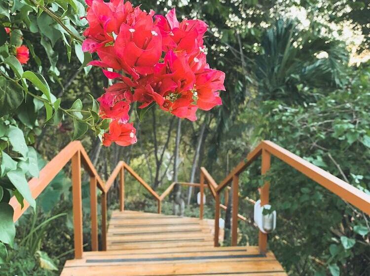 Hotel Los Altos De Eros   Adults Only