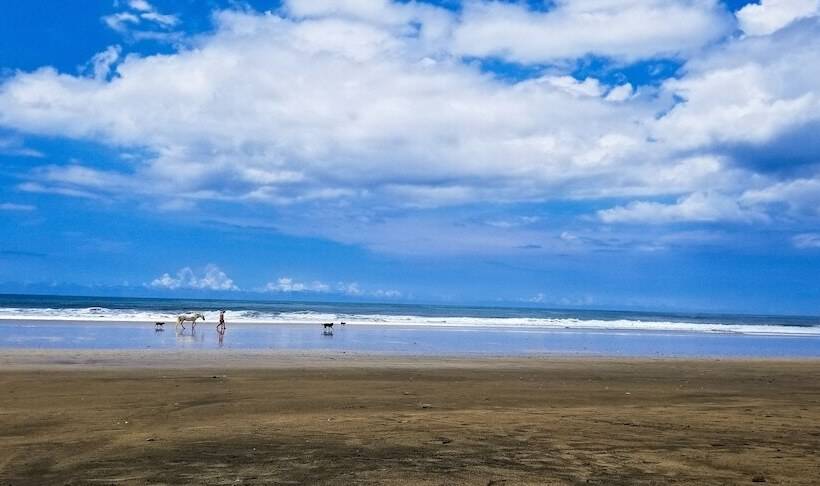 Hotel Los Altos De Eros   Adults Only