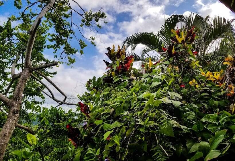 Hotel Los Altos De Eros   Adults Only