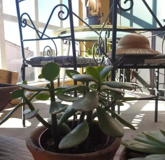 Majatalo Hostal La Horra